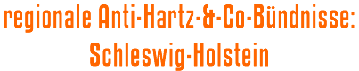 regionale Anti-Hartz-&-Co-Bündnisse: Schleswig-Holstein