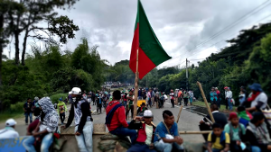 Straßemblockaden indigener Organisationen im Südwesten Kolumbiens wurden am 19.3.2019 von der ESMAD überfallen