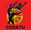 Cosatu