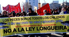 Chile: Der Kampf gegen die Privatisierung der Fische, Bild von Frederico Füllgraf