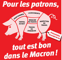 „Loi Macron“ – zwangsweise Sozialpartnerschaft nach Gusto der Unternehmerverbände