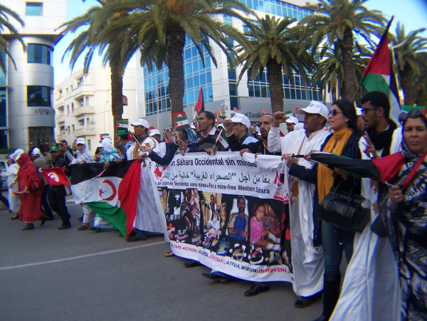 WSF2015: Protest gegen die marokkanische Besetzung der Westsahara (II)