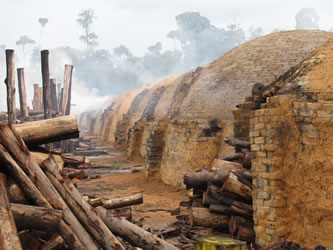 Holzkohlenmeiler in Carajás, Brasilien. Foto von Lisa Carstensen