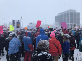 Die grösste Demonstration in der Geschichte Alaskas am 20.1.2017 gegen Trump