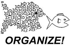 organize!