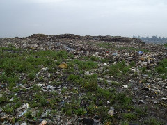 Müllhalde in der ätiopischen Hauptstadt am 17.3.2017 - sieht gar nicht gefährlich aus...