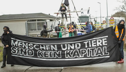 20.3.2017: Wiesenhof-Schlachtfabrik in Königswusterhausen/Niederlehme blockiert