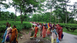 Arbeiterinnen der Teeplantagen im Streik demonstrieren in Westbengalen am 12.6.2017