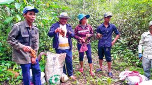 Kambodschanische Bauern gegen Landgrabbing von Konzernen aus Thailand und China Februar 2018