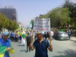 Der "Atem" der DemonstrantInnen in Algerien ist sehr lang - ihre Entschlossenheit, sich icht vom Regime einfangen zu lassen, ebenfalls