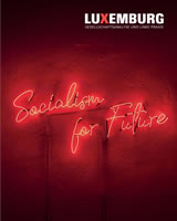 Zeitschrift LuXemburg 3/2019: »Socialism for Future«