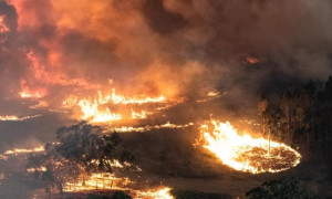 Die größten Brände in Australiens Geschichte sind ein Schlag ins Gesicht der Klimawandel-Leugner