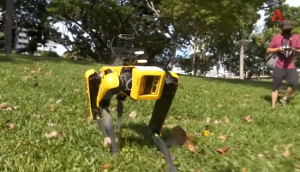"Der Tiger" - Überwachungsroboter in Singapurs Stadtparkt wurde als Emblem repressiver Politik weltberühmt...