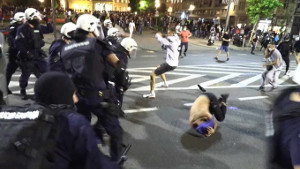 Demonstration und Polizeigewalt in Belgrad am 9.7.2020