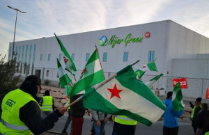 Streik in den landwirtschaftlichen Lagerhallen Andalusiens Weihnachten 2020