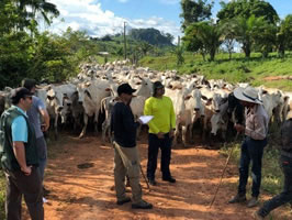 Arbeitsinspektion in Brasilien (Foto: DGB-Bildungswerk)