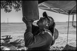 Fotoreportagen von David Bacon über Klimawandel und kalifornische LandarbeiterInnen bei über 45 Grad Hitze