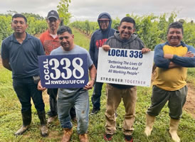 USA: Gewerkschaft für LandarbeiterInnen auf Long Island