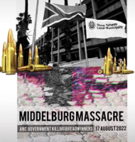 Collage des Rathauses von Steve Tshewete und Munition
