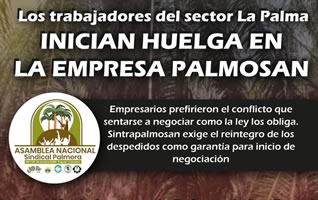 Streik beim kolumbianischen Palmenunternehmen Palmosan für die Wiedereinstellung der entlassenen ArbeiterInnen - wegen der Gründung einer Gewerkschaft