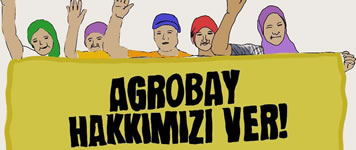 Türkei: Gewerkschaft der LandarbeiterInnen Tarim-Sen: Setzen Sie den arbeitnehmer- und gewerkschaftsfeindlichen Praktiken bei Agrobay ein Ende!