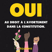 Frankreich: Kampf um das Recht auf Schwangerschaftsabbruch in der Verfassung zu verankern