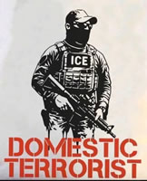 ICE = Domestic Terrorist (Grafik aus USA, Quelle: bluesky)
