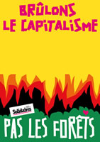 Brûlons le Capitalisme, pas les Forêts - Lass uns den Kapitalsmus verbrennen, nicht die Wälder (Gewerkschaft Solidaires in Frankreich)