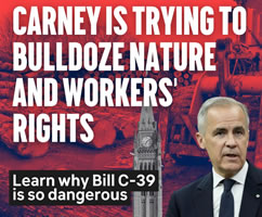 Bill C-39 in Canada: Carney is traying to bulldoze Nature and Workers`Rights